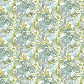 WG-738_Kapari_2626-001