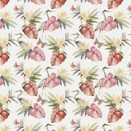 WG-743_Pink Petros_2631-001