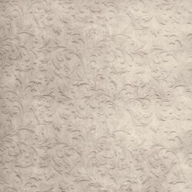 WG-540_1628-001_Beige Silky Curl