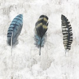 WG-769_Dreamcatcher_1659-001