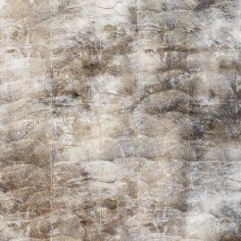 WG-776_Sand Mussel_1670-001