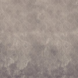 WG-1033_1653-001_charcaol diamond