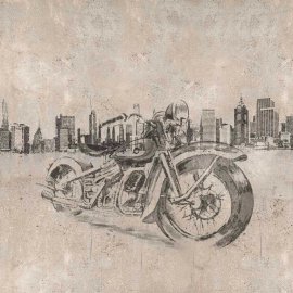 WG-421_Bike with City_2171-001