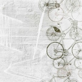 WG-423_Cycles Only_2167-001