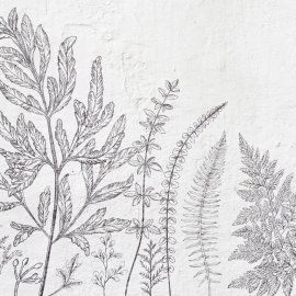 WG-425_Honshu 2174-001