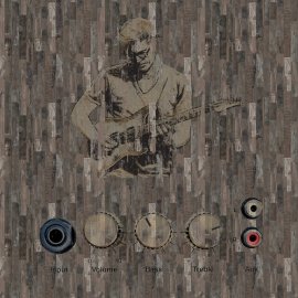 WG-432_The Guitarist 2179-001