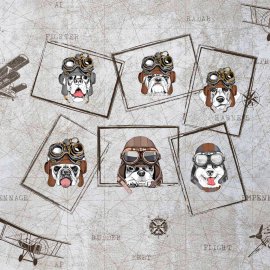 WG-968_2173-001_Pretty Pilots