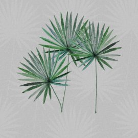 WG-578_1493-001_Sidelya