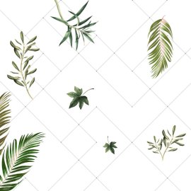 WG-579_1494-001_Pamira