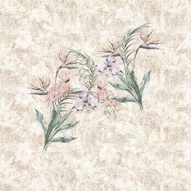 WG-580_1499-001_CucaCuca