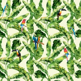 WG-583_1517-001_Scarlets or not