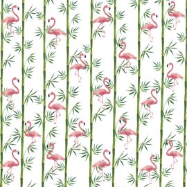 WG-585_1519-001_Saciperere