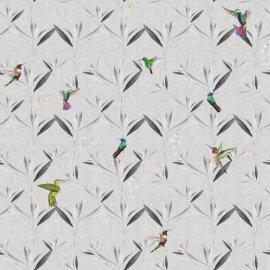 WG-587_1522-001_Song of Kolibri