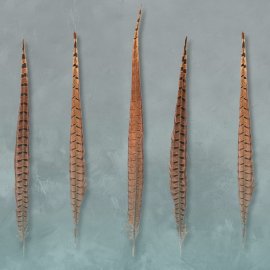 WG-593_1528-001_Boitata