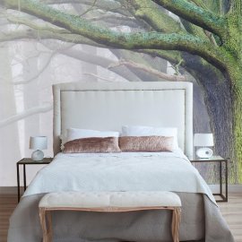 WG-307_gFairy Forest