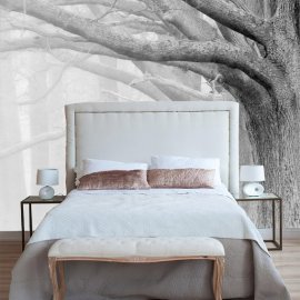 WG-308_g_Fairy Forest