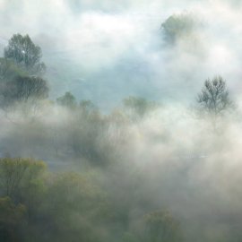 WG-309_Foggy Landscape