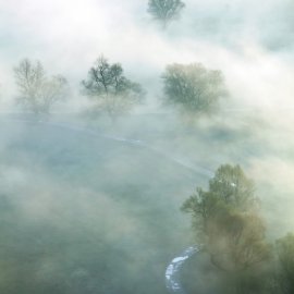 WG-310_Foggy Landscape