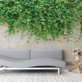 WG-318_g_Ivy On Wall