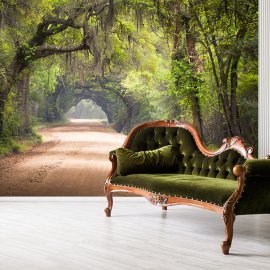 WG-329_g_Tree Tunnel