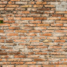 WG-491_texture garden