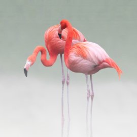 WG-870_13-120 Just We Two