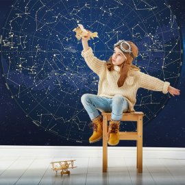 WG-924_4-117 Sky Map_g