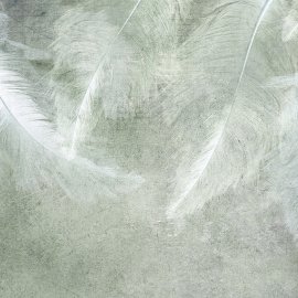 WG-277_retro feather