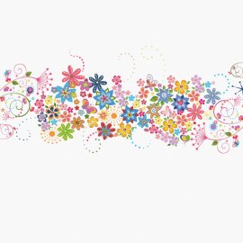 WG-501_1730-001_Colorful daisy