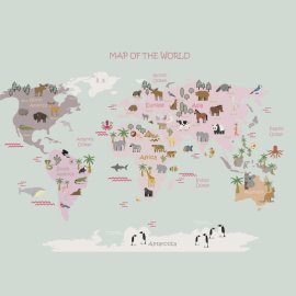 WG-503_1732-001_Pink map