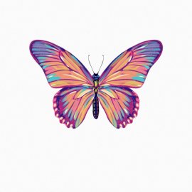 WG-505_1734-001_Butterfly