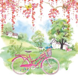 WG-511_1743-001_Bicycle