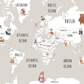 WG-117 Cartoon World Map