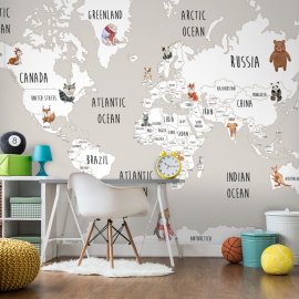 WG-117_Cartoon world map_g