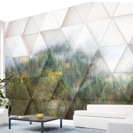 WG-1108_Natural forest atmosphere-2