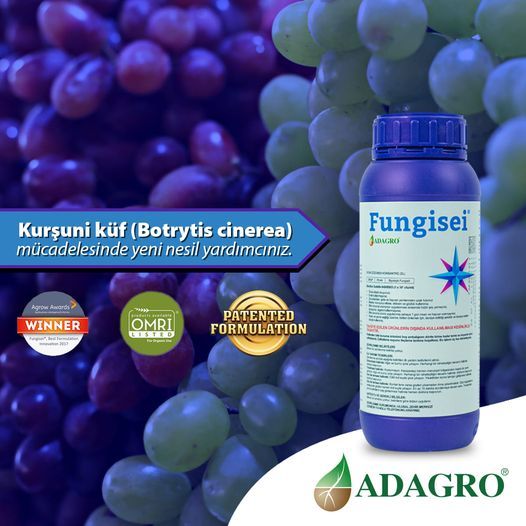 225062090_2364023393733619_7483988812016629814_n