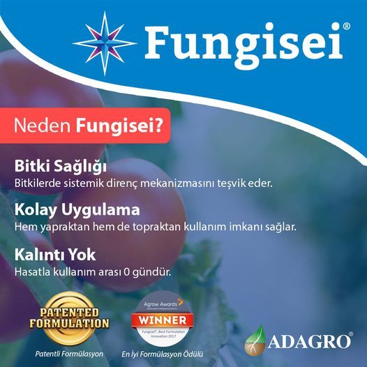 197361543_2322270484575577_4467485549221381987_n