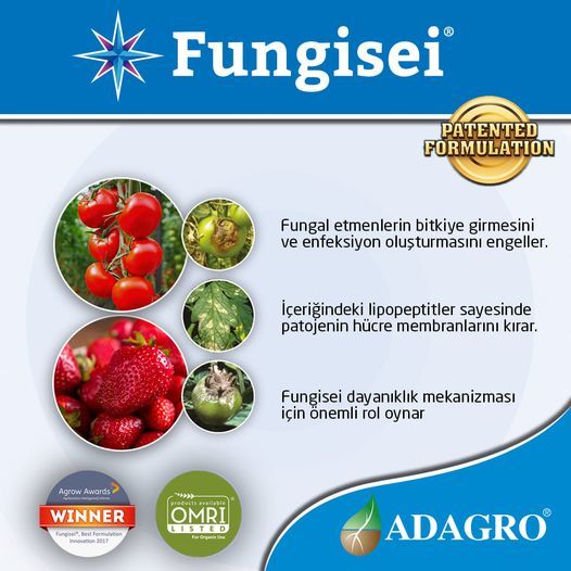 187305131_2305938062875486_1513190783997667759_n