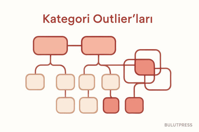 Kategoriye Sığmayan İçerik: Bilgi Mimarisinde Outlier Kararı