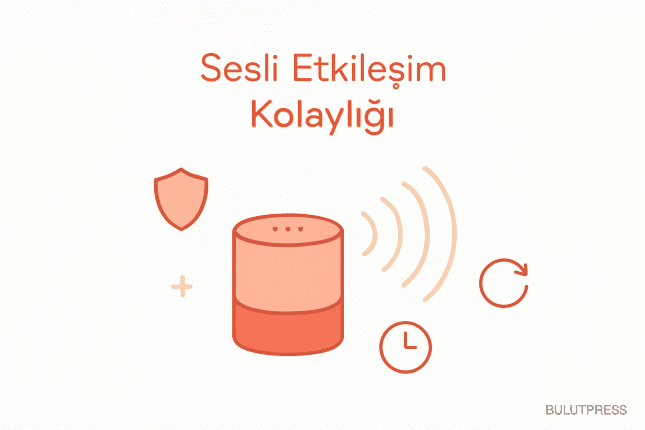 Sesli Arayüzlerde Hangi Kullanılabilirlik İlkesi Taşınır, Hangisi Kırılır