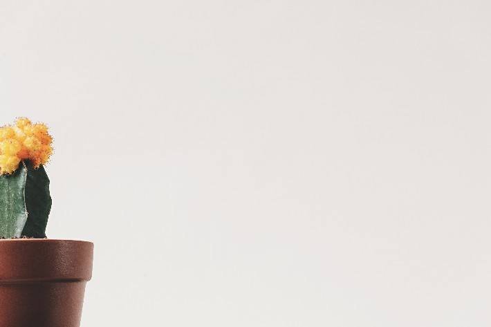 web tasarımlarınızda fazla seçenek sunmak kullanıcı deneyiminize