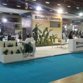 Maxima Fuar Stantları / DFD