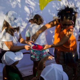 Forest and Kaz Dağları