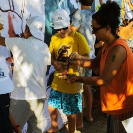 Forest and Kaz Dağları