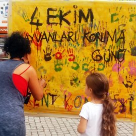 Affection for Animals