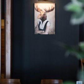 Library Hotel Erciyes