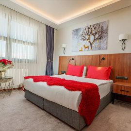 Library Hotel Erciyes