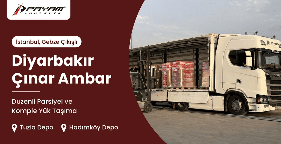 Istanbul-Diyarbakir-Cinar-Ambar-Kapak