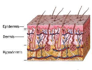 MÜTHİŞ BİR DERİNİZ VAR