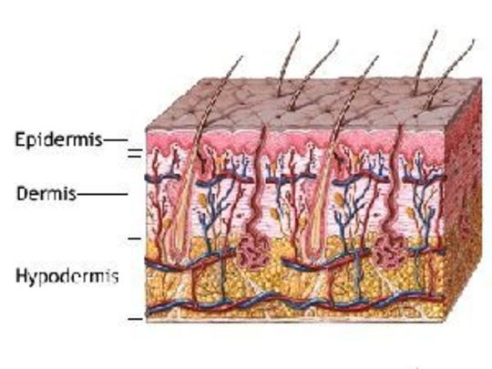 MÜTHİŞ BİR DERİNİZ VAR